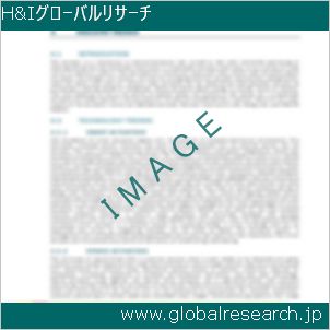 グローバルリサーチ調査レポートのイメージ